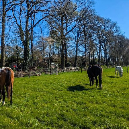 Hotel Chique Chalet Met Zicht Over De Weilanden Op De Veluwe Epe Eksteriør billede