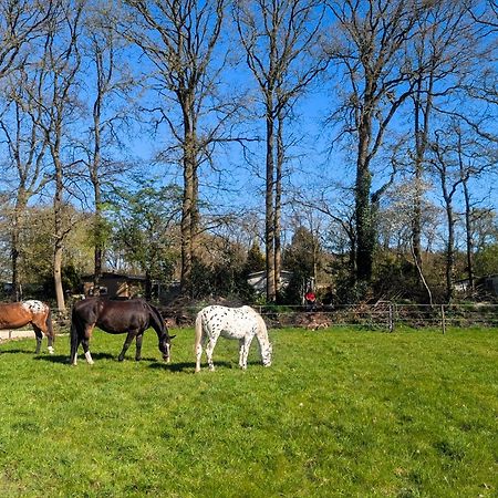 Hotel Chique Chalet Met Zicht Over De Weilanden Op De Veluwe Epe Eksteriør billede