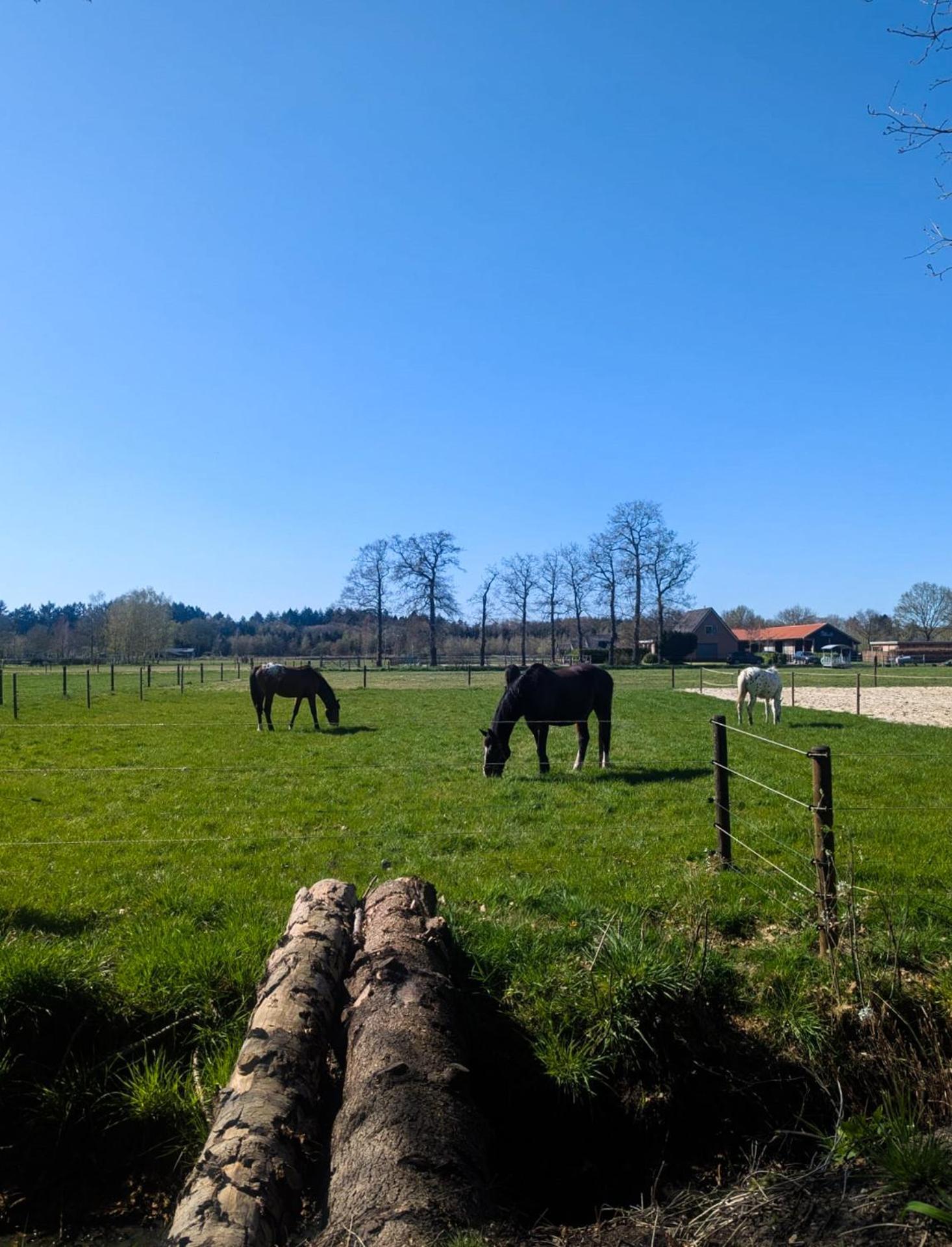 Hotel Chique Chalet Met Zicht Over De Weilanden Op De Veluwe Epe Eksteriør billede