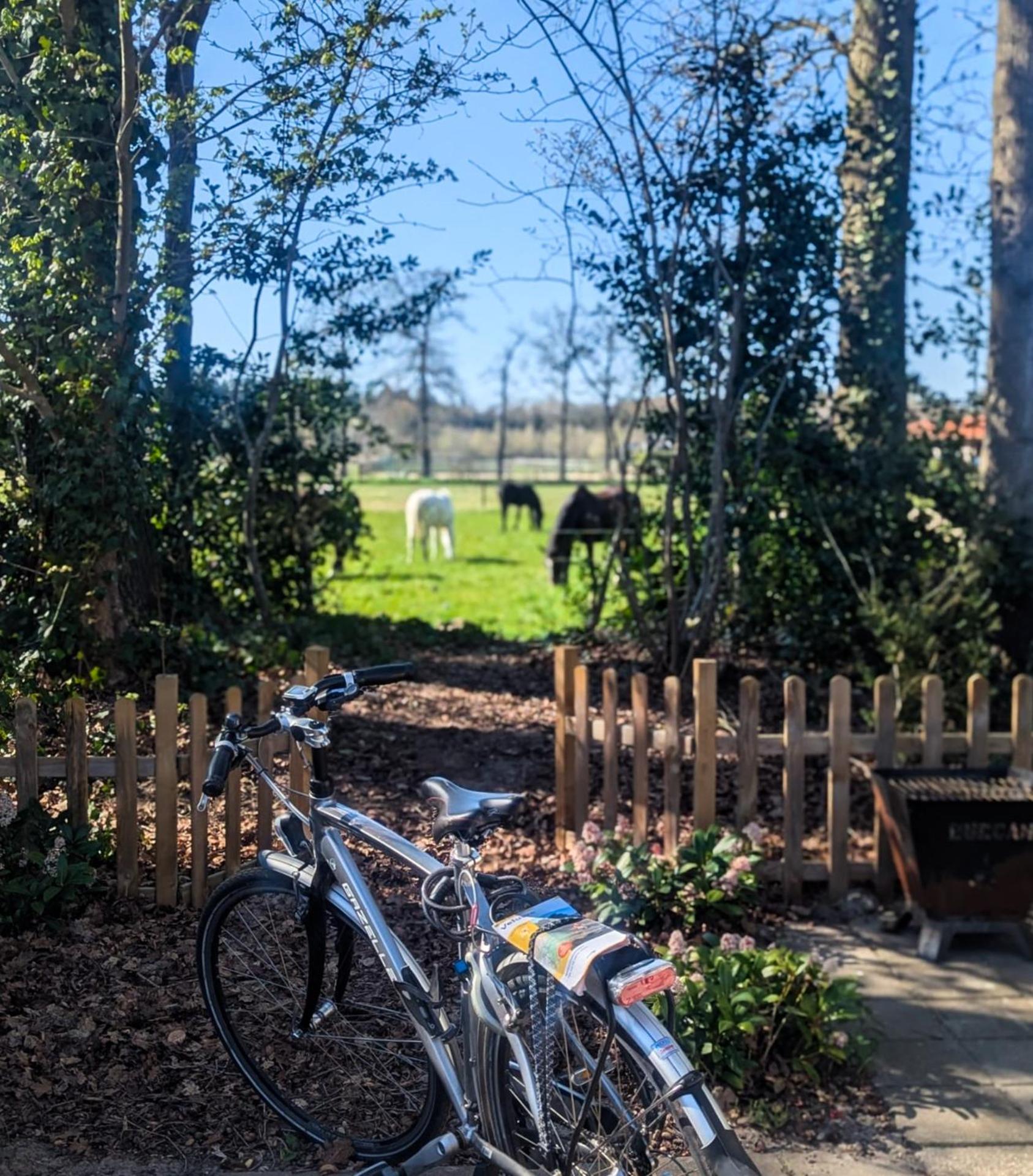 Hotel Chique Chalet Met Zicht Over De Weilanden Op De Veluwe Epe Eksteriør billede